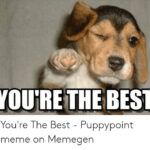 Meme Youre The Best Cute Puppy Meme You re Awesome Puppy Meme